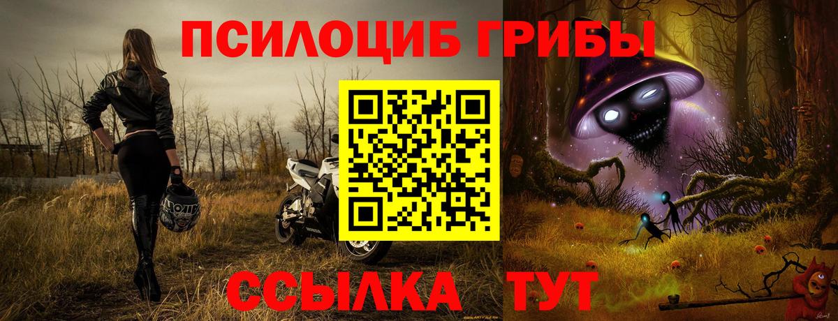 Галлюциногенные грибы Magic Shrooms Братск