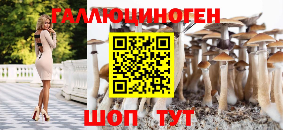 Галлюциногенные грибы Cubensis  Вход с VPN  Братск 